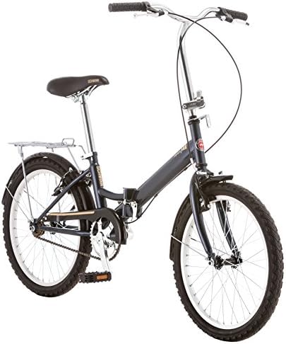 Schwinn Hinge